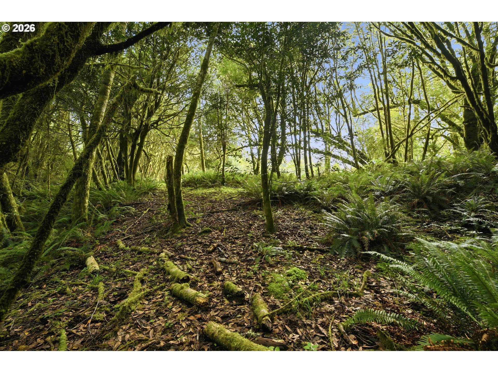 0 Cougar Road Coquille, OR 97423 - Photo 7 of 14