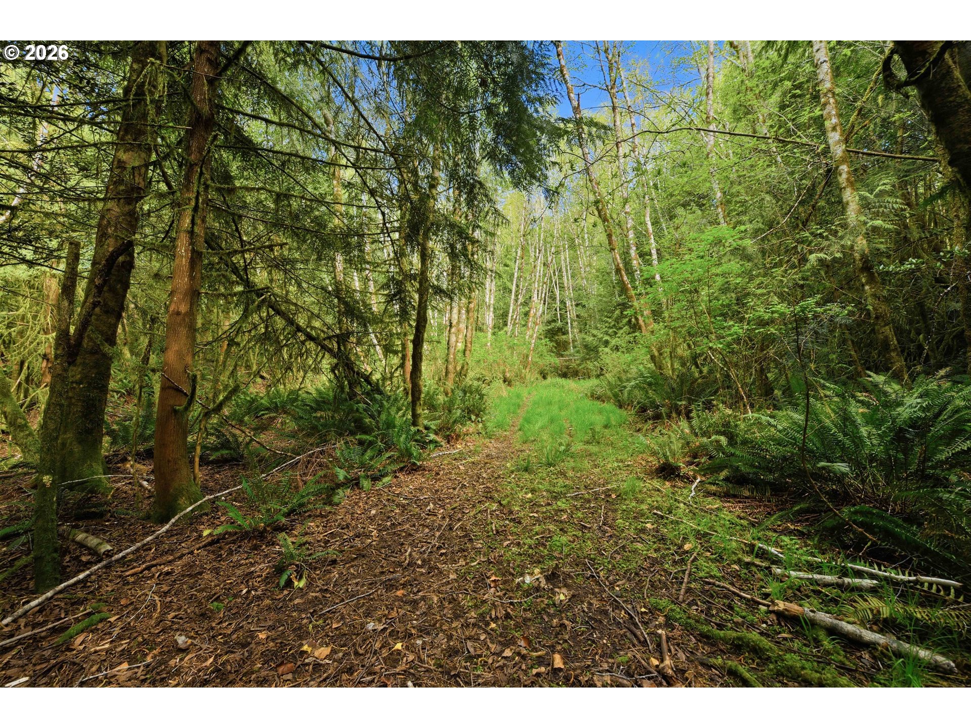 0 Cougar Road Coquille, OR 97423 - Photo 10 of 14