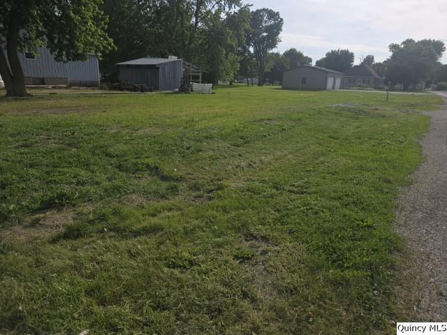 31 Randolph Street Carthage, IL 62321 - Photo 2 of 2