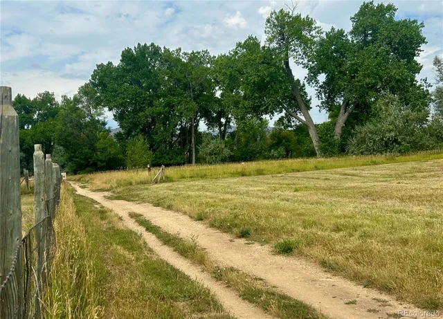 a view of a yard with trees in the background