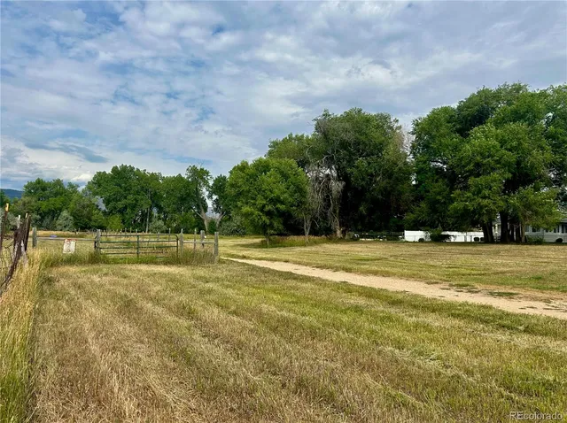 a view of a swimming pool with a yard and large trees