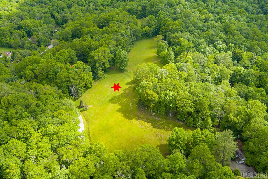 Tbd Bee Tree Road Glenville, NC 28736 - Photo 1 of 26 Gallery Image 1
