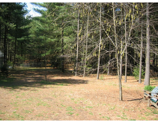 204 County Road Southampton, MA 01073 - Photo 3 of 3 a view of a yard