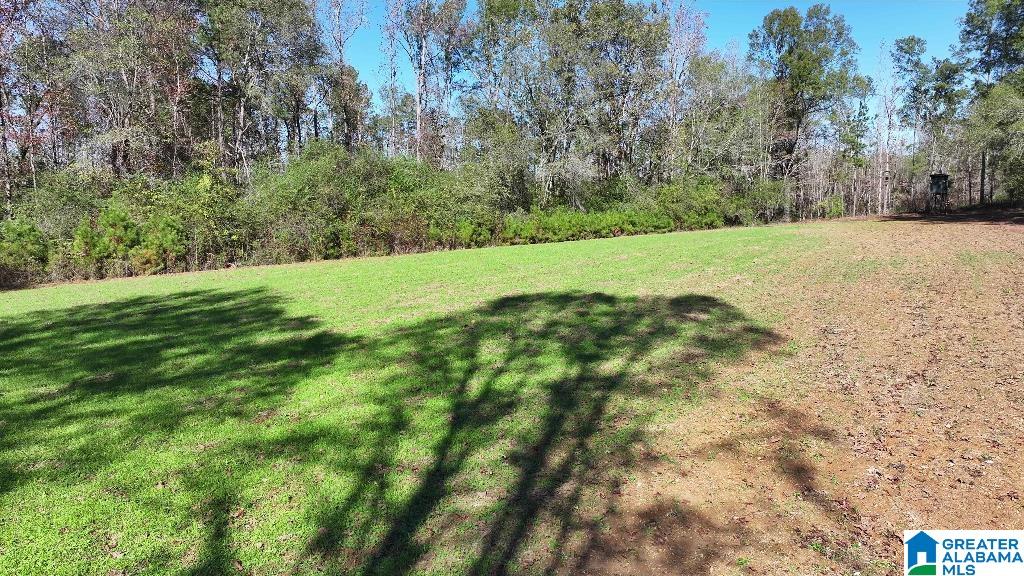 200 Kelly Creek Road Odenville, AL 35120 - Photo 39 of 47