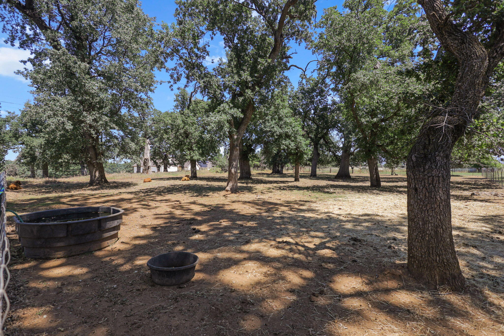 12481 Paskenta Road Red Bluff, CA 96080 - Photo 53 of 82 35-web-or-mls-8Q0A0391