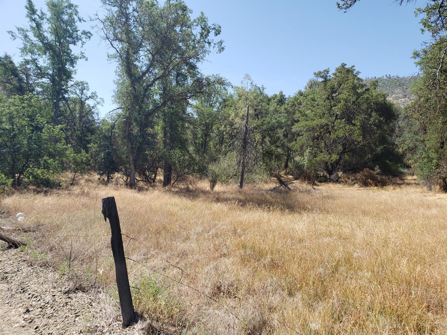 0 Lodge Road Tollhouse, CA 93667 - Photo 1 of 21 Gallery Image 1