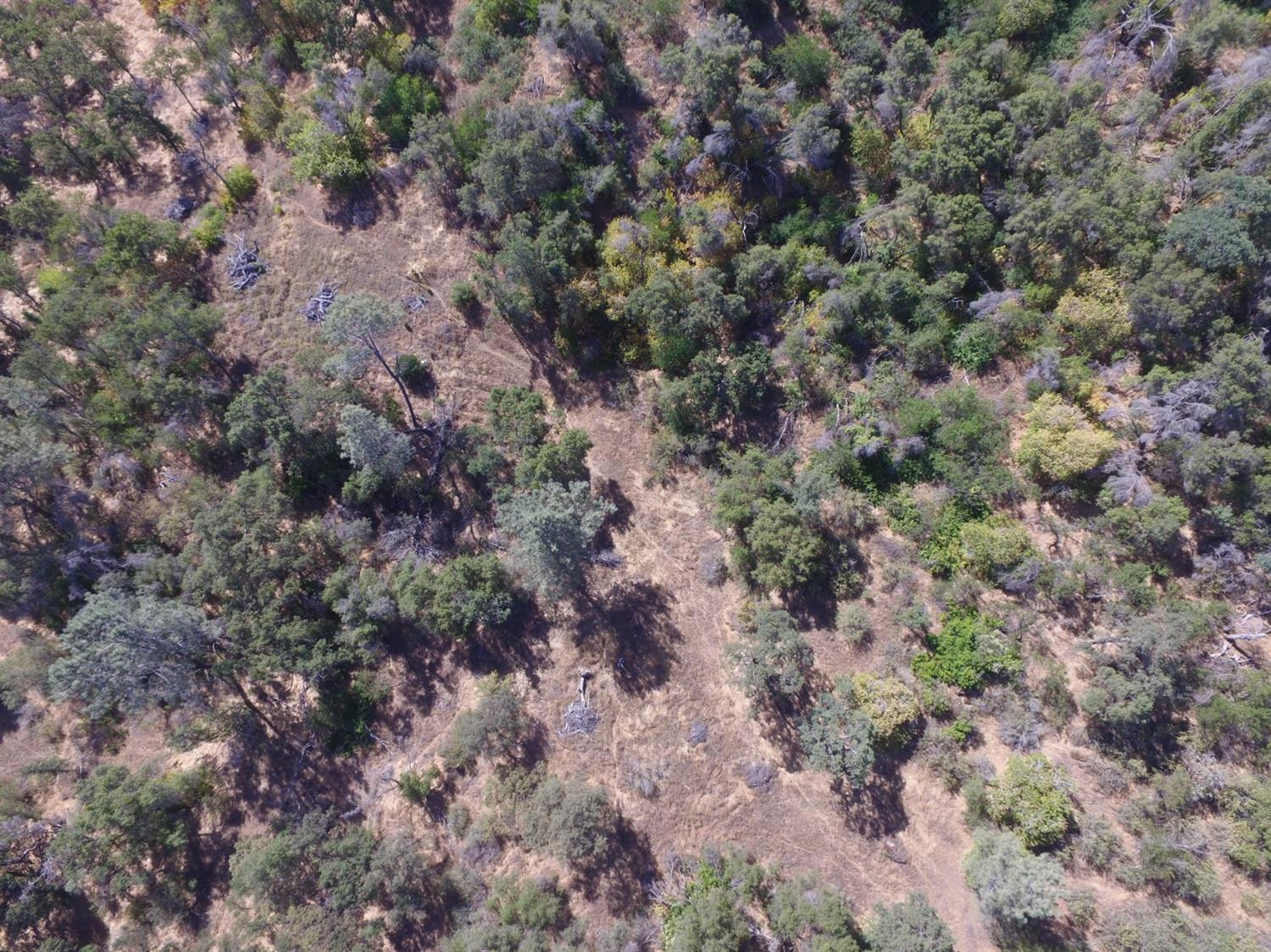 0 Lodge Road Tollhouse, CA 93667 - Photo 11 of 21 Gallery Image 11