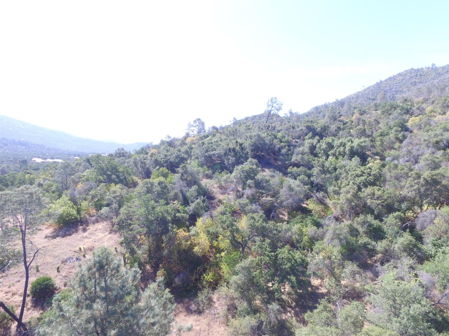 0 Lodge Road Tollhouse, CA 93667 - Photo 12 of 21 Gallery Image 12