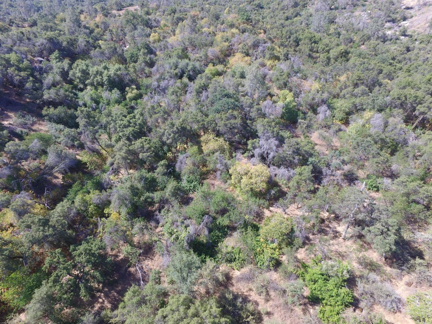 0 Lodge Road Tollhouse, CA 93667 - Photo 19 of 21 Gallery Image 19