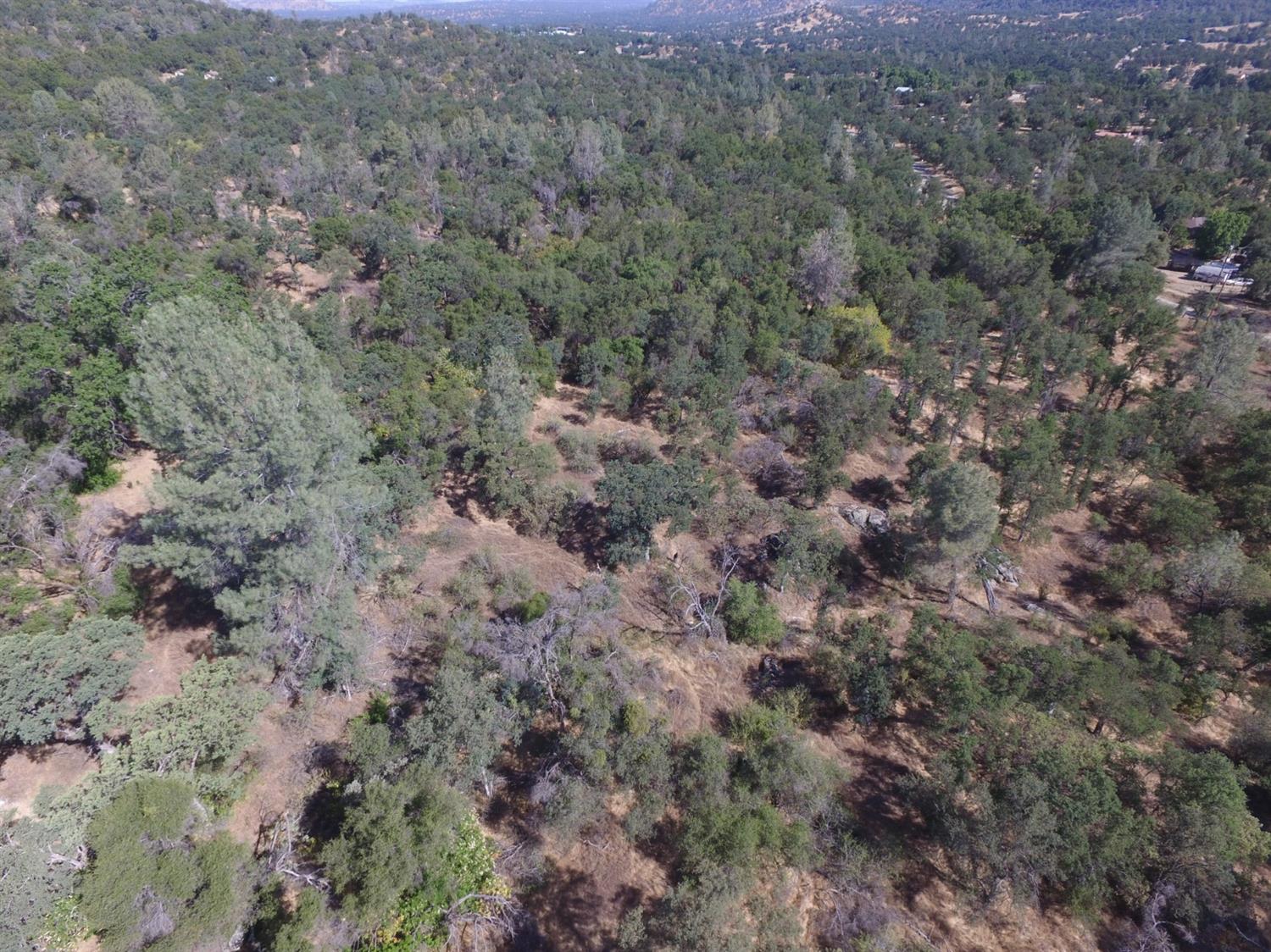 0 Lodge Road Tollhouse, CA 93667 - Photo 21 of 21 Gallery Image 21