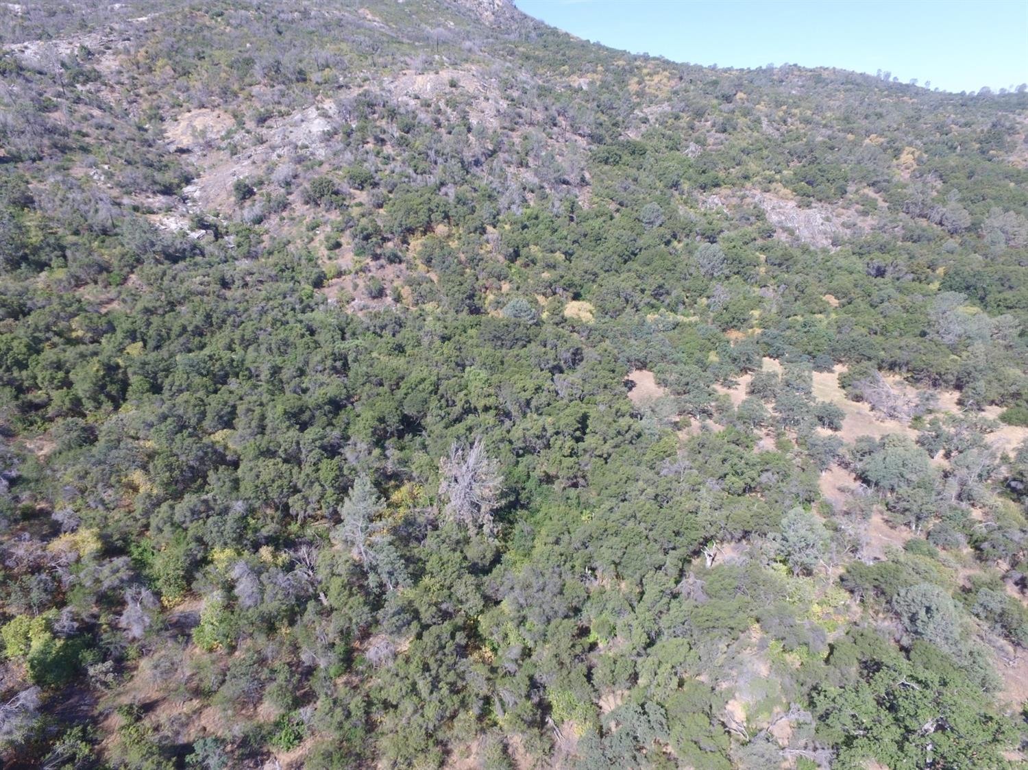 0 Lodge Road Tollhouse, CA 93667 - Photo 9 of 21 Gallery Image 9
