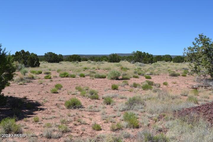 81 County Road, Unit 388 Concho, AZ 85924 - Photo 5 of 19 20240604234307912656000000-o