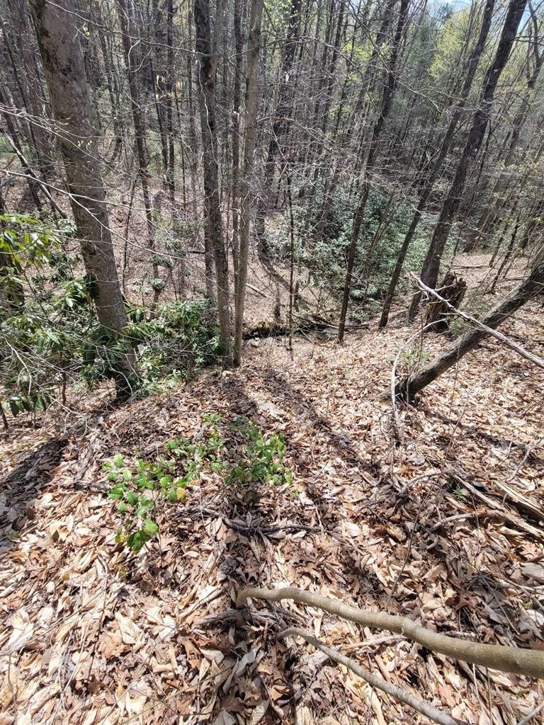 31 Butternut Lane Sevierville, TN 37876 - Photo 13 of 20