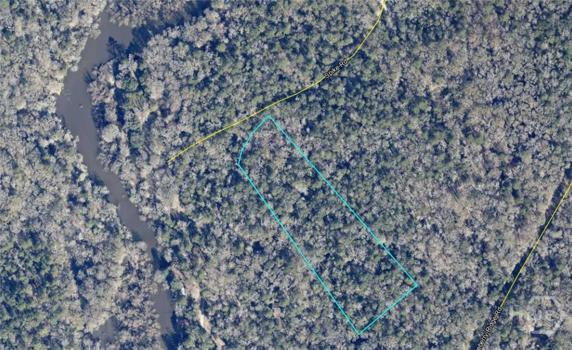 0 Spikes Road Reidsville, GA 30453 - Photo 1 of 10