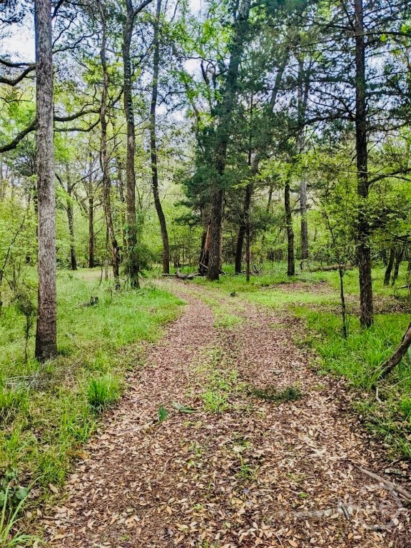 0 Spikes Road Reidsville, GA 30453 - Photo 4 of 10