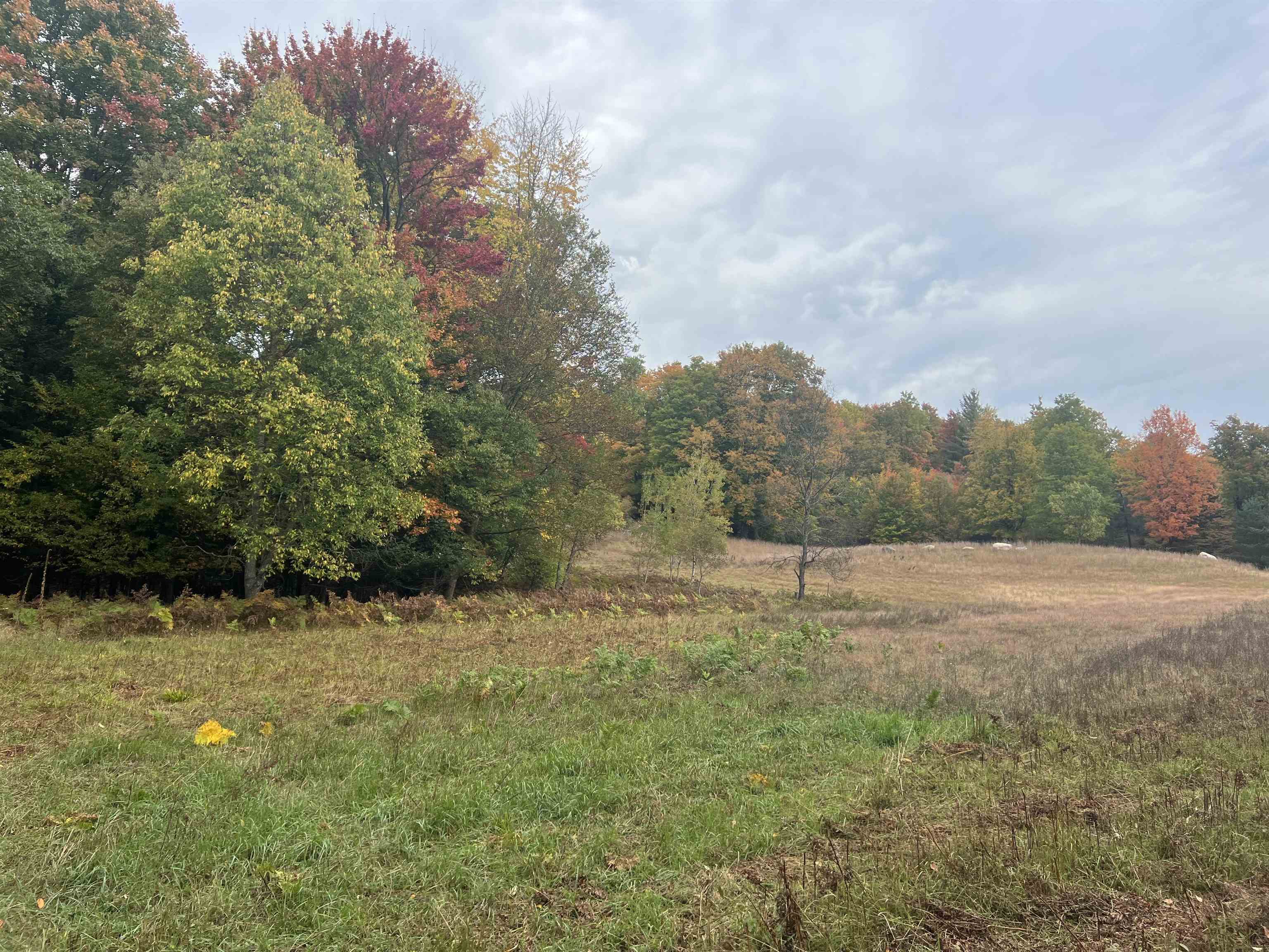 90 A Ridgeview Drive Kalkaska, MI 49646 - Photo 49 of 75