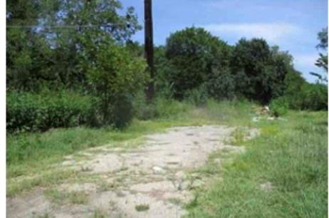 4830 Adobe Lane Denison, TX 75020 - Photo 6 of 9 a view of plant in middle of green field
