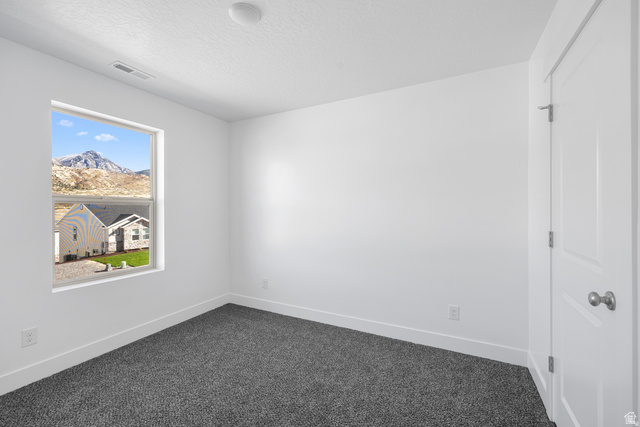291 North Slant Road, Unit 46M Mapleton, UT 84660 - Photo 9 of 19 Unfurnished room featuring dark carpet, a textured ceiling, and a mountain view