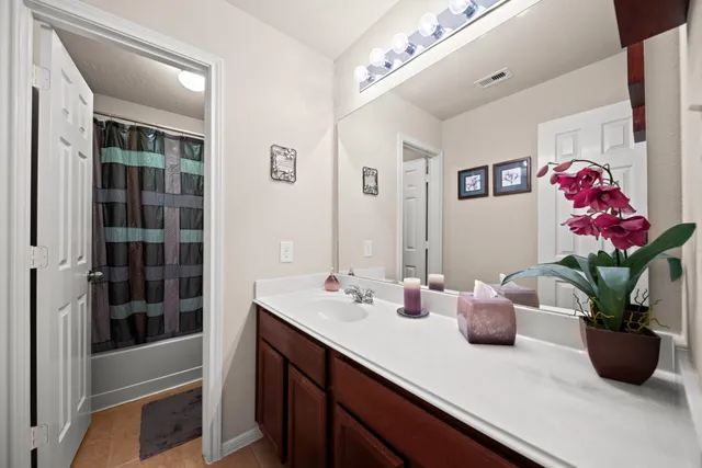 a bathroom with a sink a vanity and a potted plant