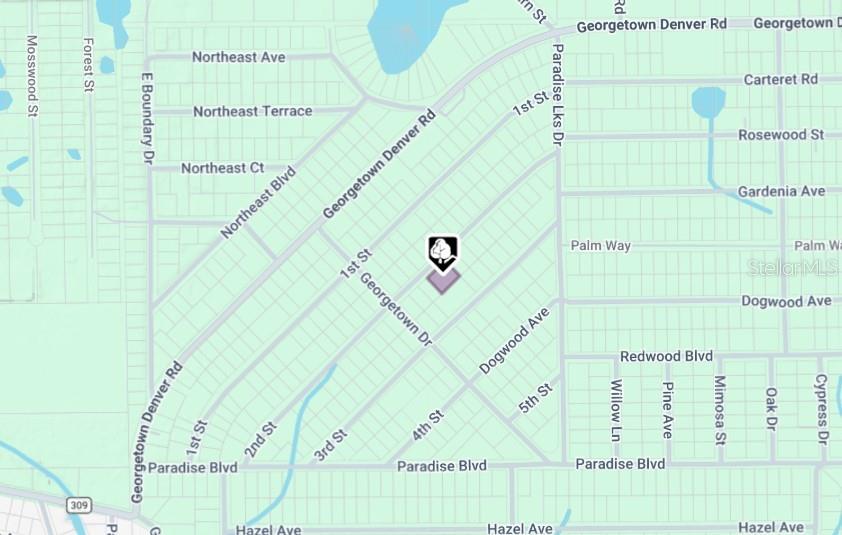207 2nd Street Georgetown, FL 32139 - Photo 4 of 5