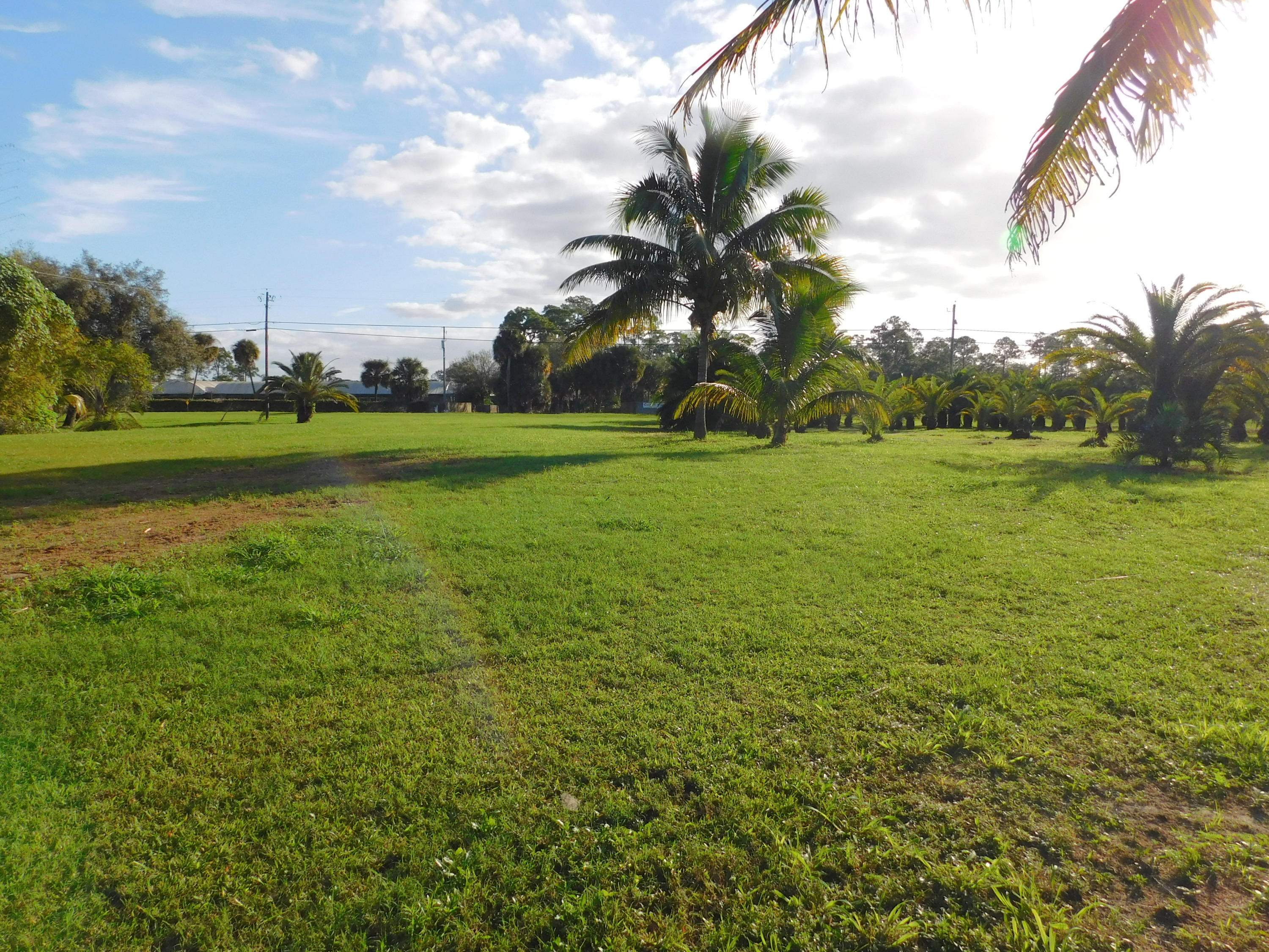 2285 D Road Loxahatchee Groves, FL 33470 - Photo 27 of 32 2285 D ROAD