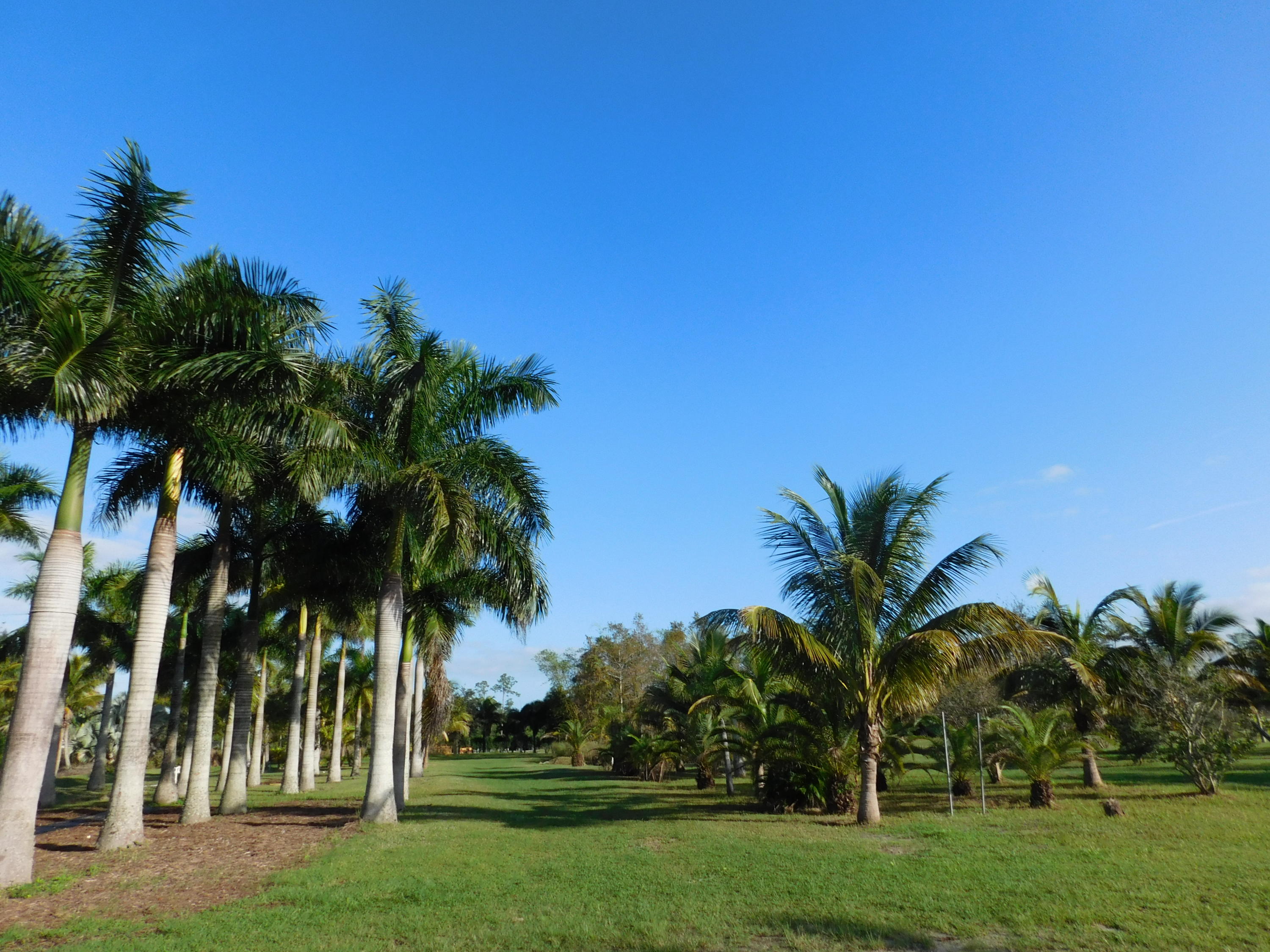 2285 D Road Loxahatchee Groves, FL 33470 - Photo 31 of 32 2285 NORTH PROPERTY