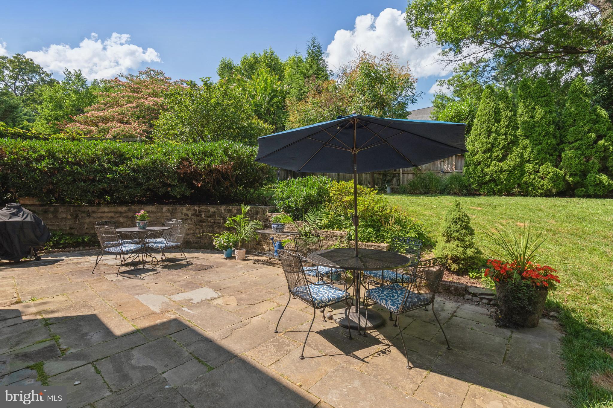 4317 Rosedale Avenue Bethesda, MD 20814 - Photo 44 of 46 Rear Patio