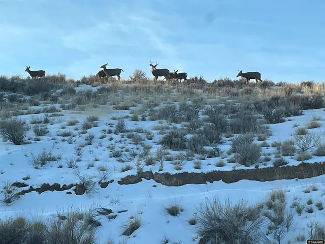 $749,000 | 850 Highway 14, Greybull, WY 82426