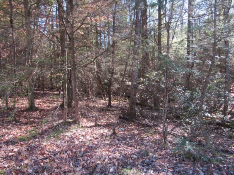 8.31-ac Model Farm Road Jamestown, TN 38556 - Photo 3 of 28 01092020 004