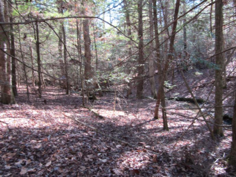8.31-ac Model Farm Road Jamestown, TN 38556 - Photo 8 of 28 01092020 013