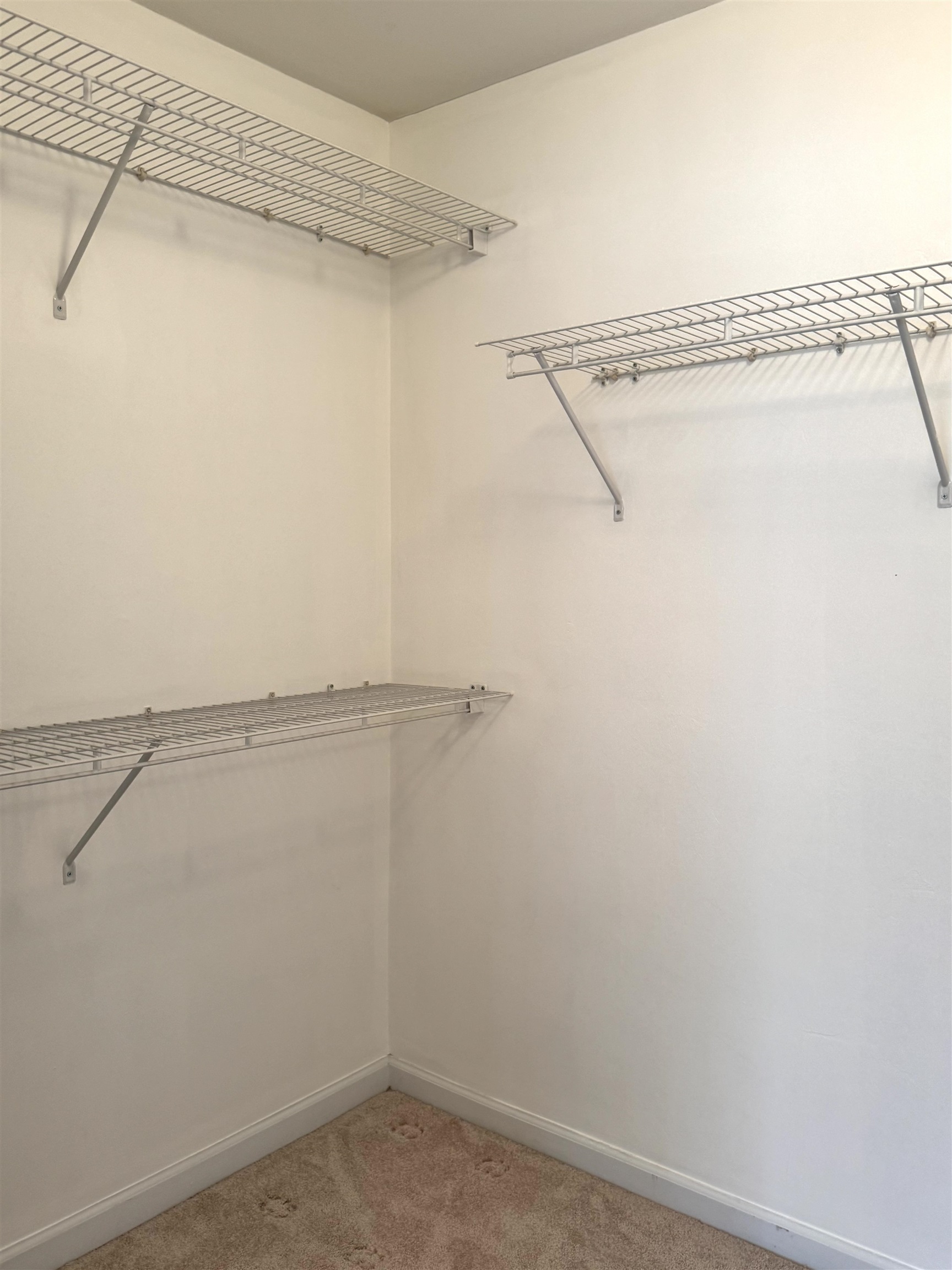 14257 Buckhorn Road Tallahassee, FL 32312 - Photo 17 of 52