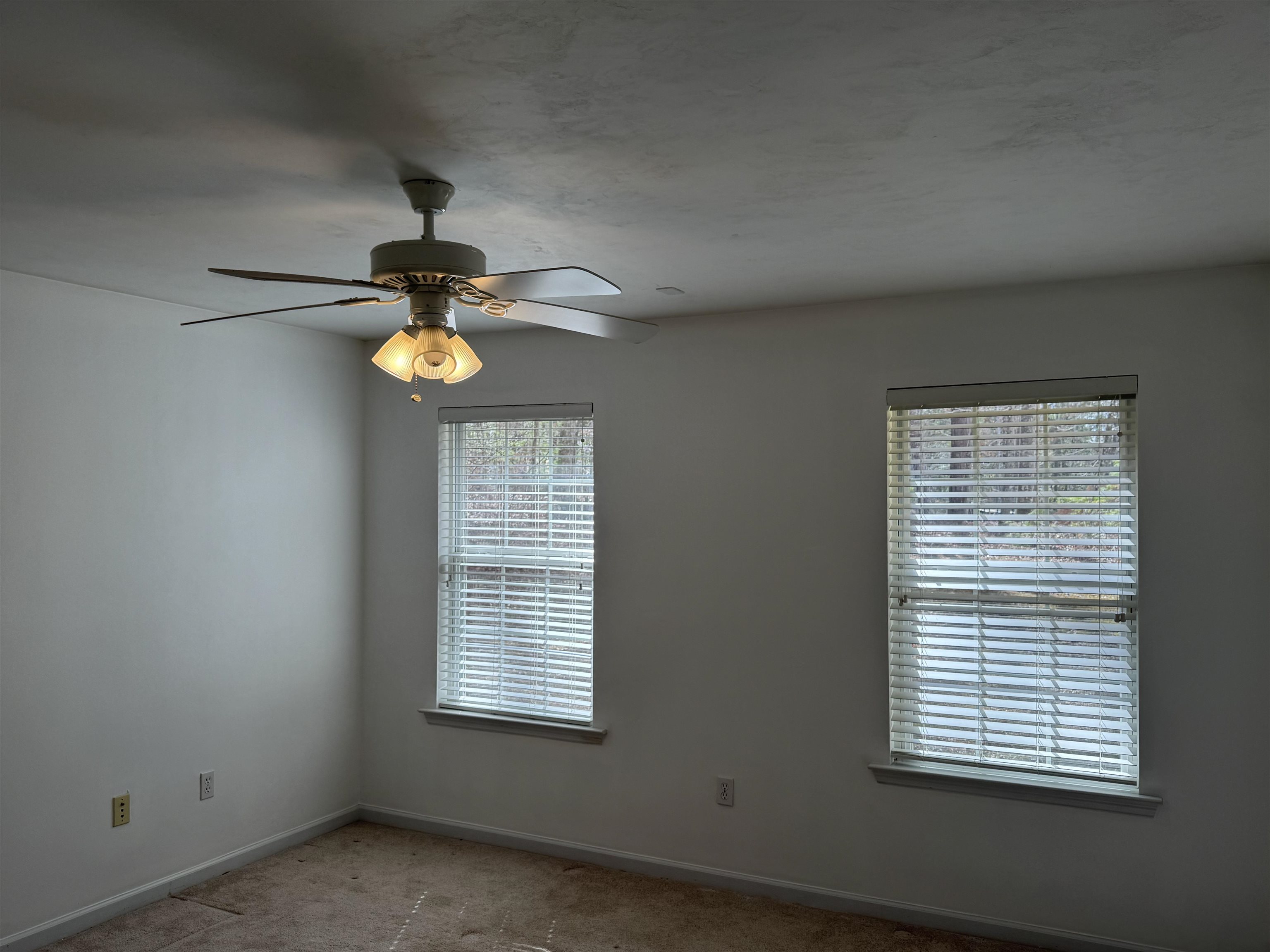 14257 Buckhorn Road Tallahassee, FL 32312 - Photo 26 of 52