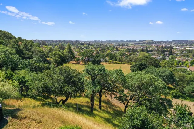 a view of lake with lots of trees
