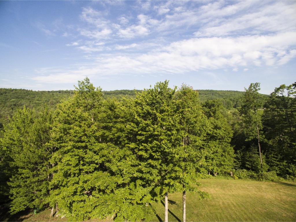 932 Potash Brook Road Chester, VT 05143 - Photo 23 of 24