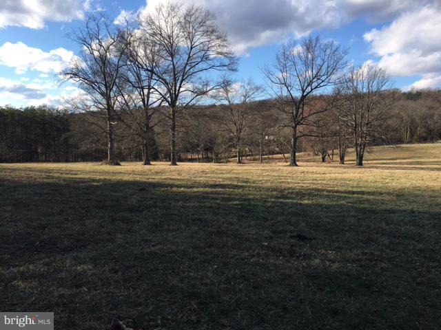 Old Bust Head Road The Plains, VA 20198 - Photo 2 of 12 a big yard with road and trees