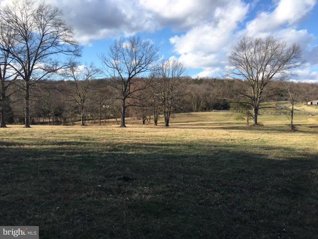 Old Bust Head Road The Plains, VA 20198 - Photo 3 of 12 a view of road with trees