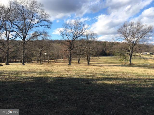 Old Bust Head Road The Plains, VA 20198 - Photo 6 of 12 a view of yard with trees