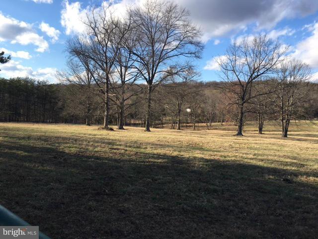 Old Bust Head Road The Plains, VA 20198 - Photo 7 of 12 a view of yard with large trees