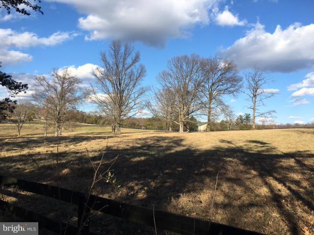 Old Bust Head Road The Plains, VA 20198 - Photo 9 of 12 a view of yard with tree