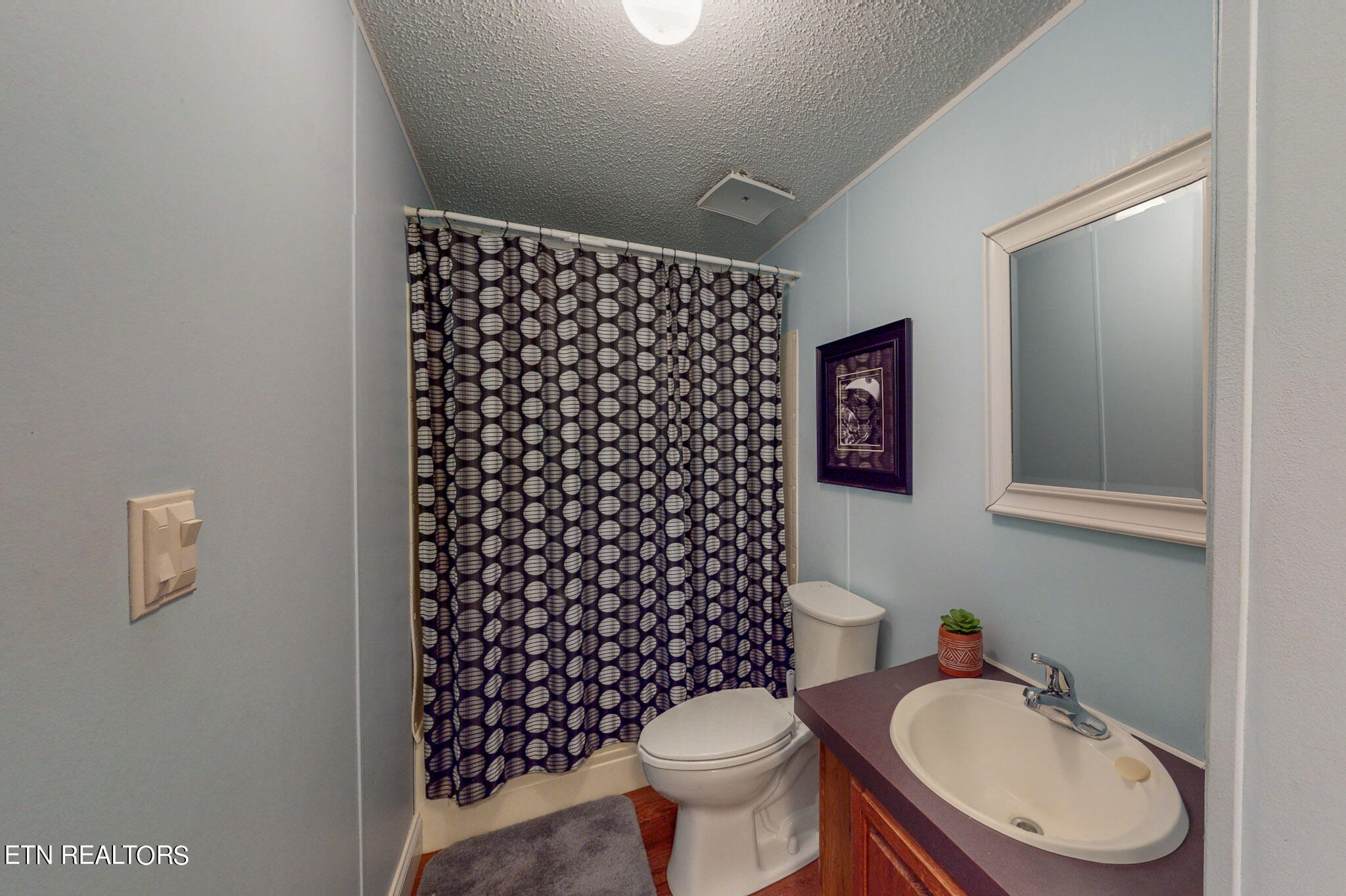 1205 Belltown Road Tellico Plains, TN 37385 - Photo 28 of 42 IMG_5084
