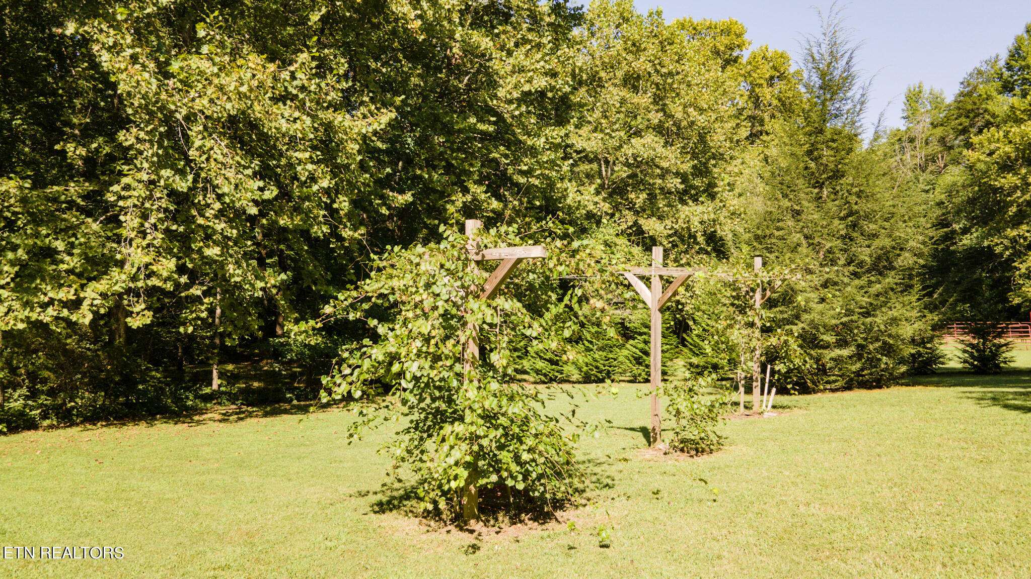 1205 Belltown Road Tellico Plains, TN 37385 - Photo 39 of 42 IMG_5099