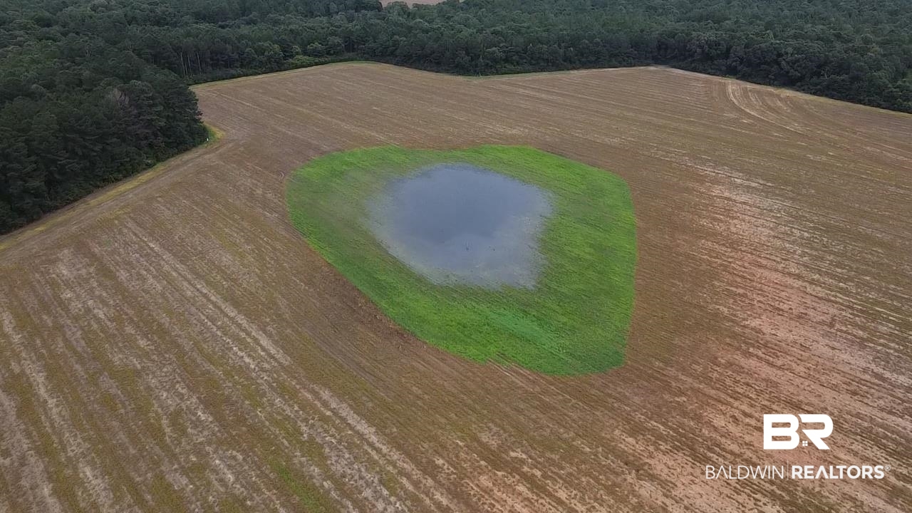 7600 Bratt Road Century, FL 32535 - Photo 10 of 41 Gallery Image 10