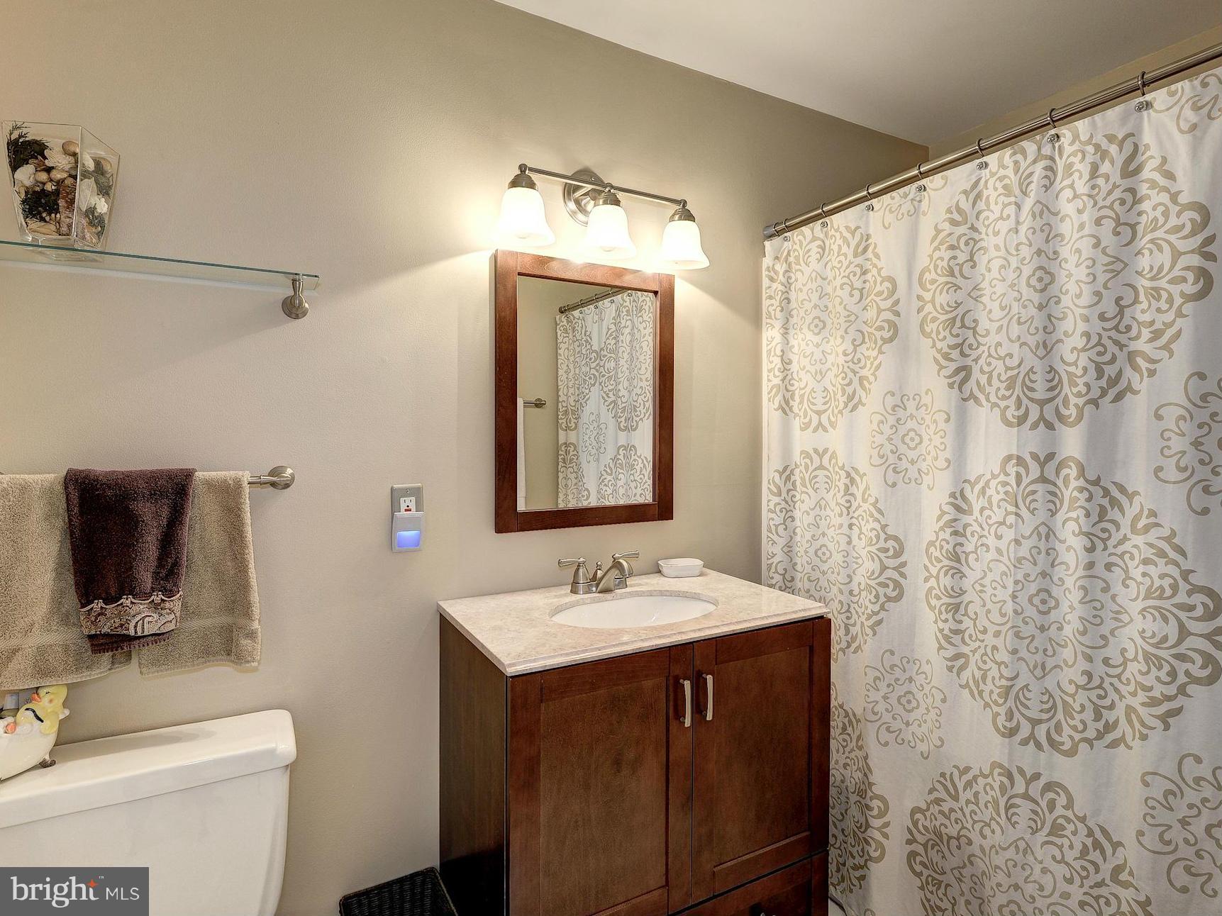 2018 Adams Hill Road Vienna, VA 22182 - Photo 25 of 30 LL Full Bath