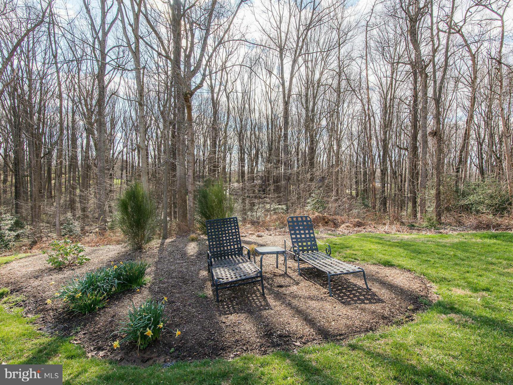 2018 Adams Hill Road Vienna, VA 22182 - Photo 30 of 30 Rear Yard-Backing to Trees