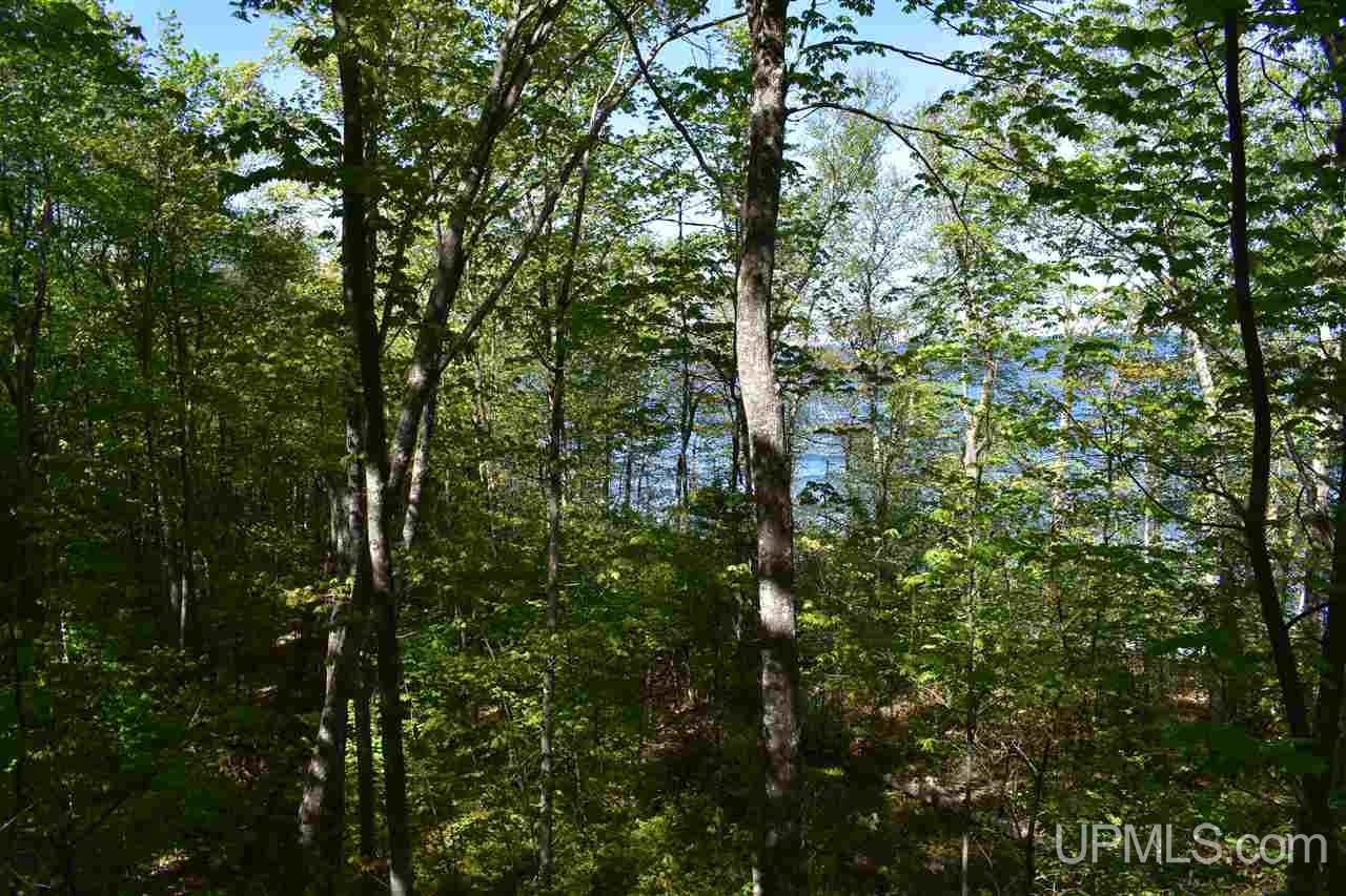 24-acres Co Rd Kb Big Bay, MI 49808 - Photo 40 of 50