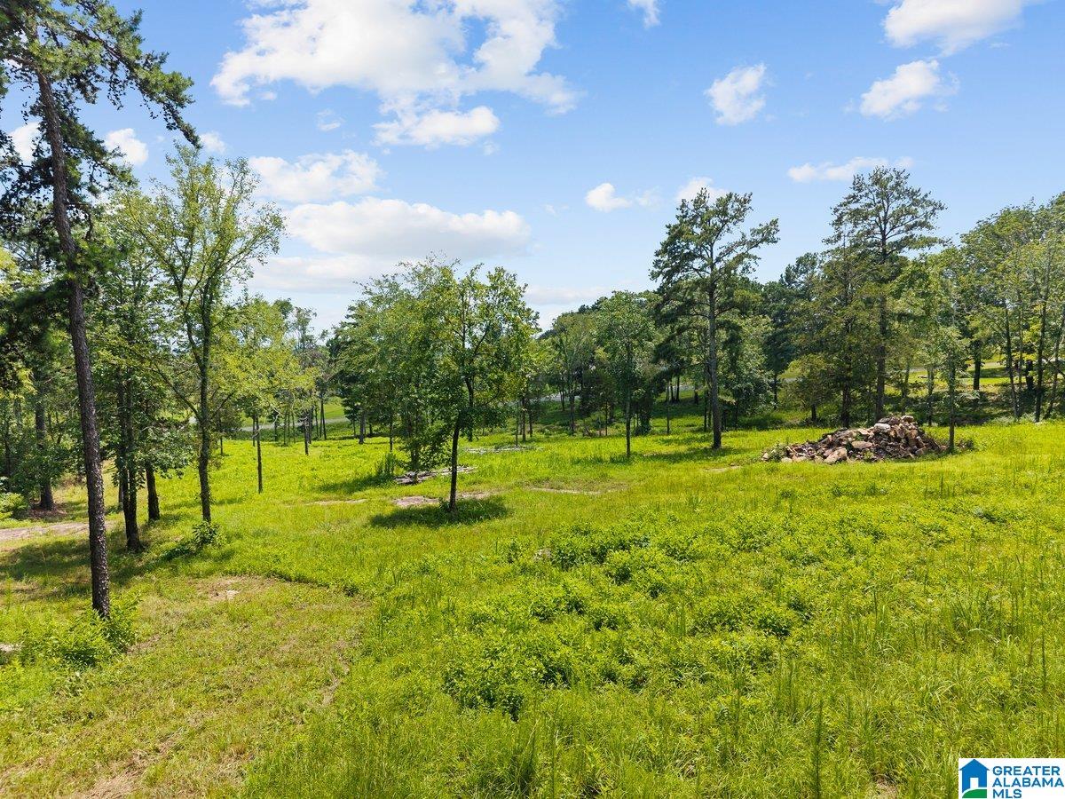 4705 County Highway 45 Hayden, AL 35079 - Photo 18 of 41