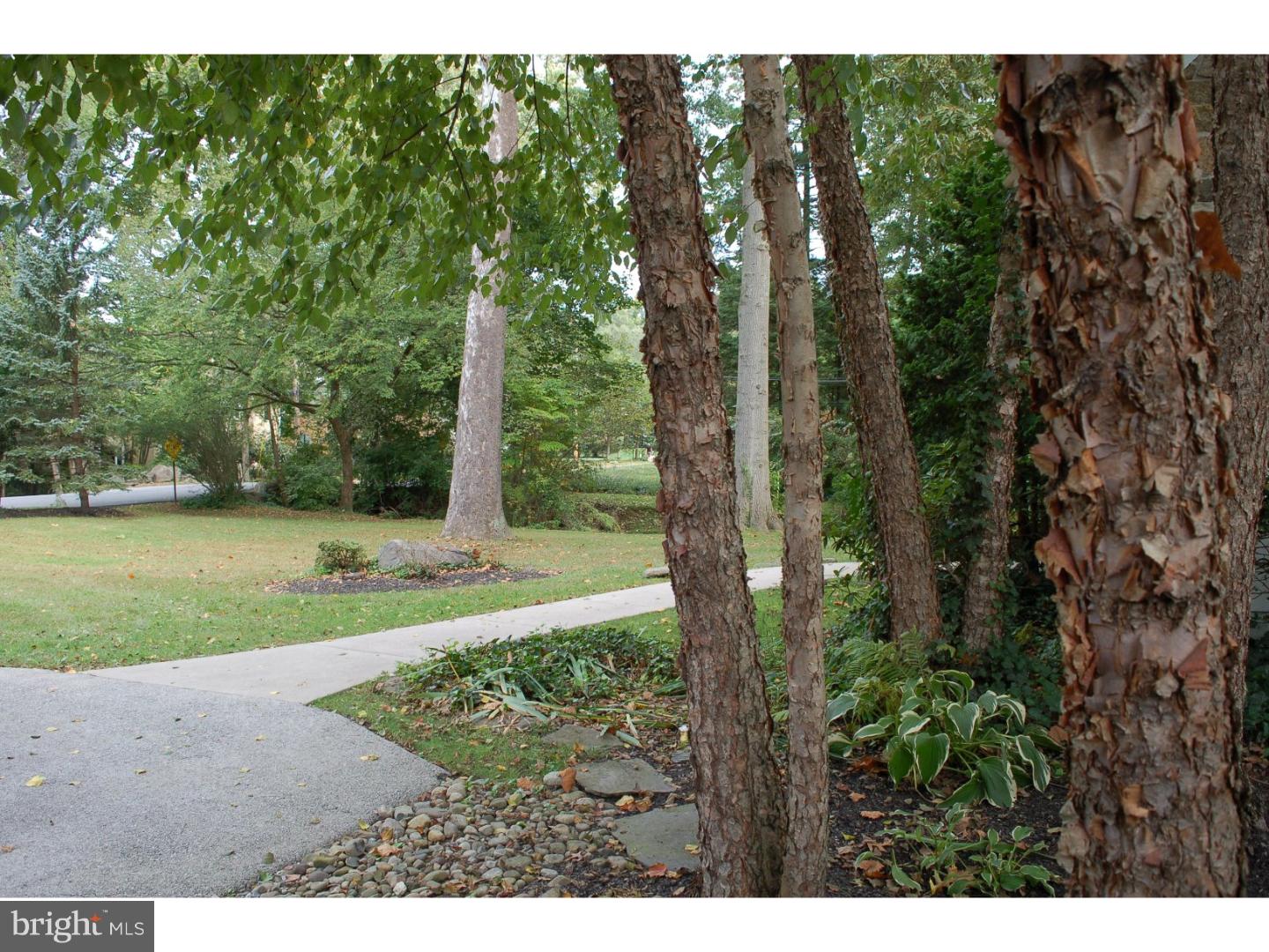 310 Orchard Way Wayne, PA 19087 - Photo 6 of 7 Side Yard