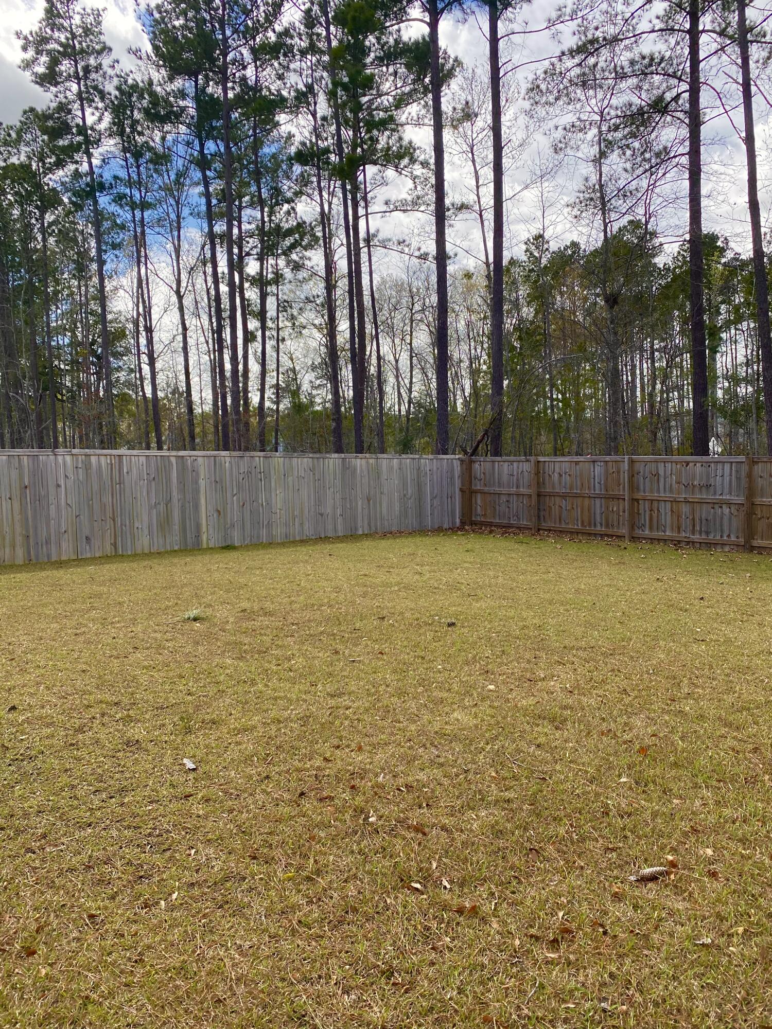 540 Wayton Circle Moncks Corner, SC 29461 - Photo 12 of 20 Backyard