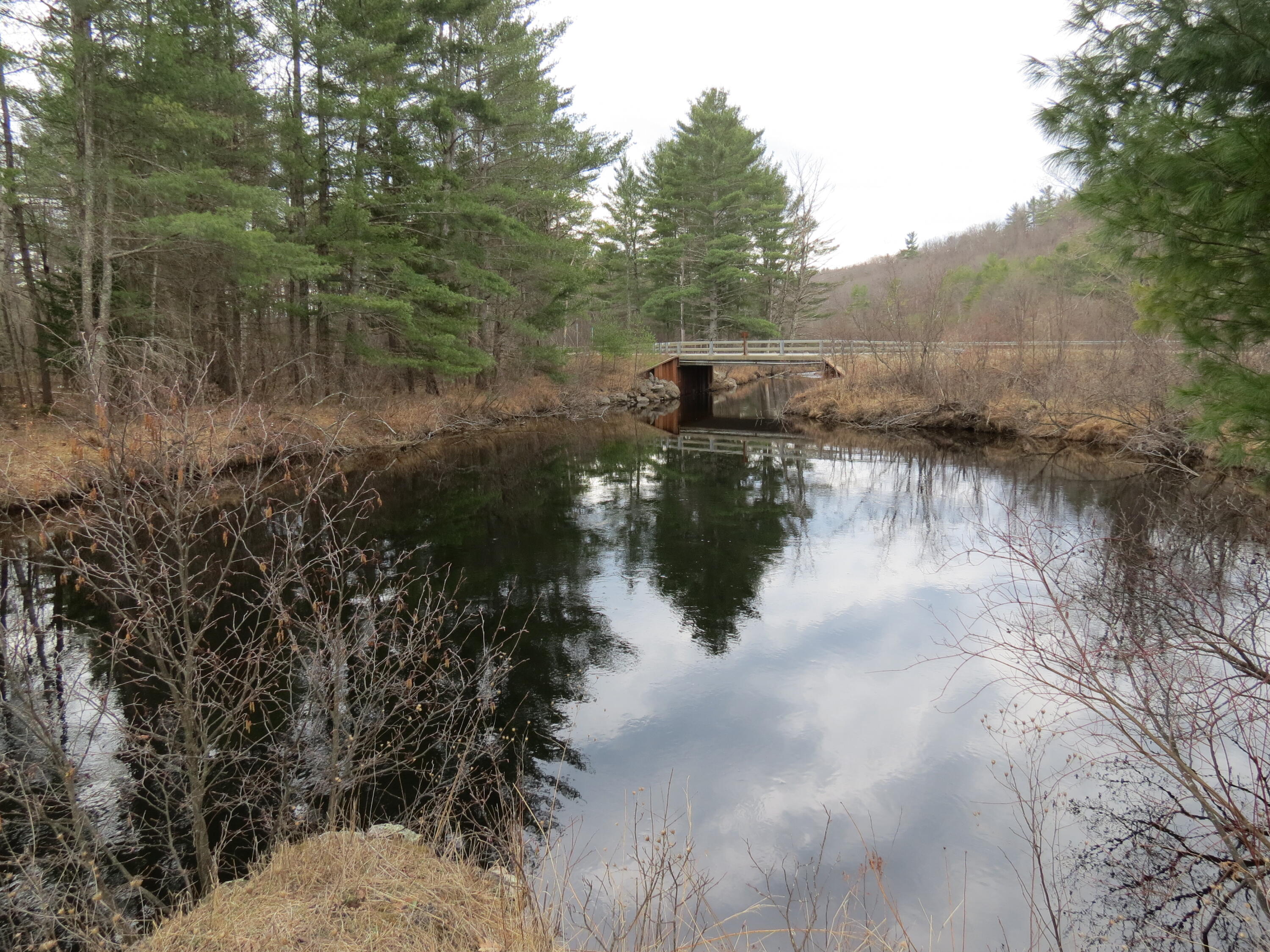 384 Guide Board Road Black Brook, NY 12985 - Photo 5 of 12 IMG_7803