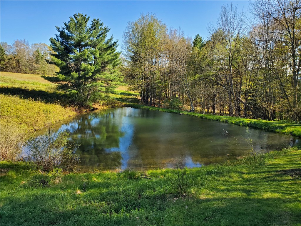 205 Sullivan Road Mount Vision, NY 13810 - Photo 37 of 49